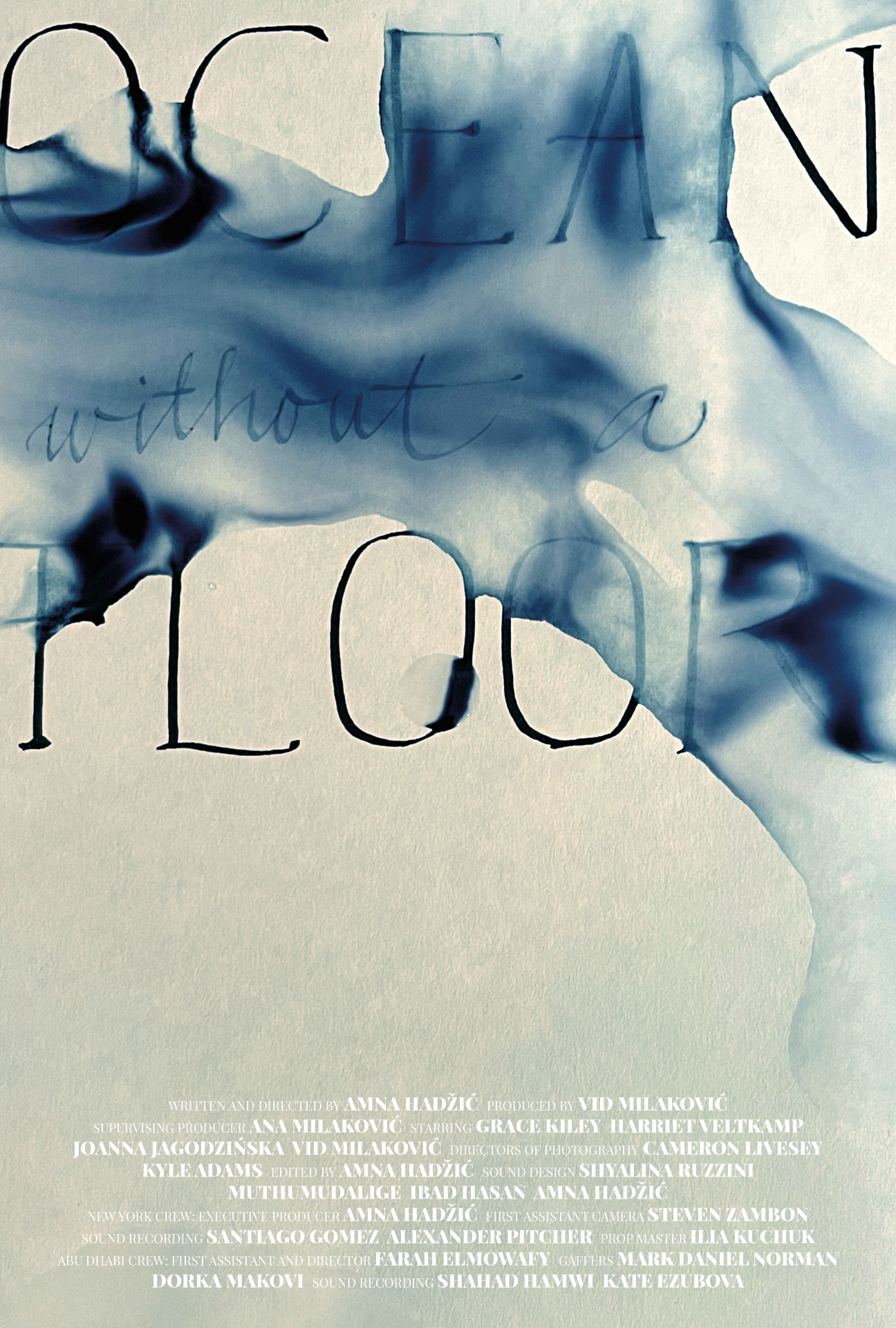 Ocean without a Floor poster